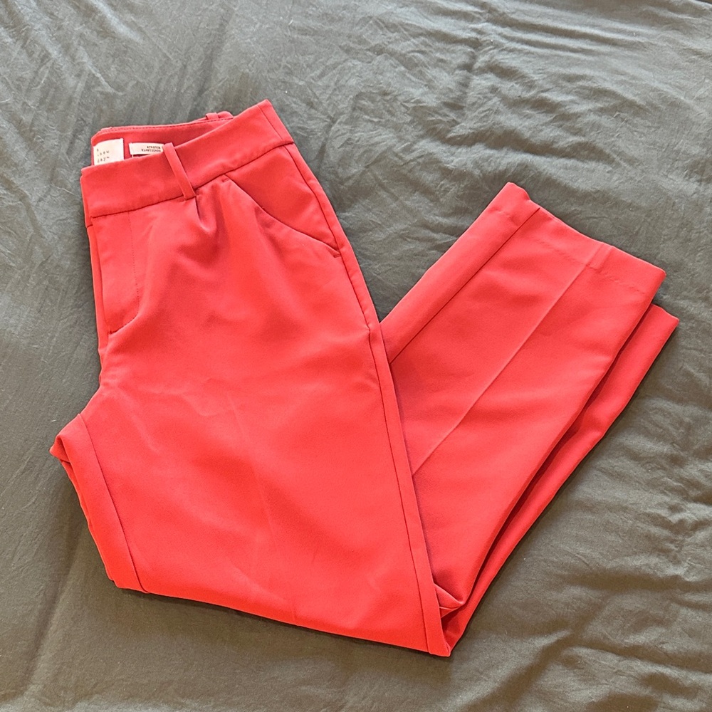 Rust Dress Pants